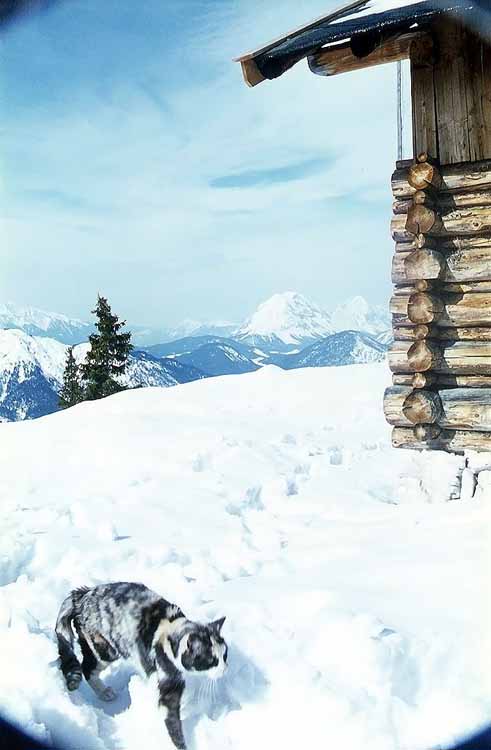Pleisenspitze am 18.04.1970
