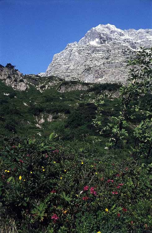 Kreuzreifhorn am 17.07.1972