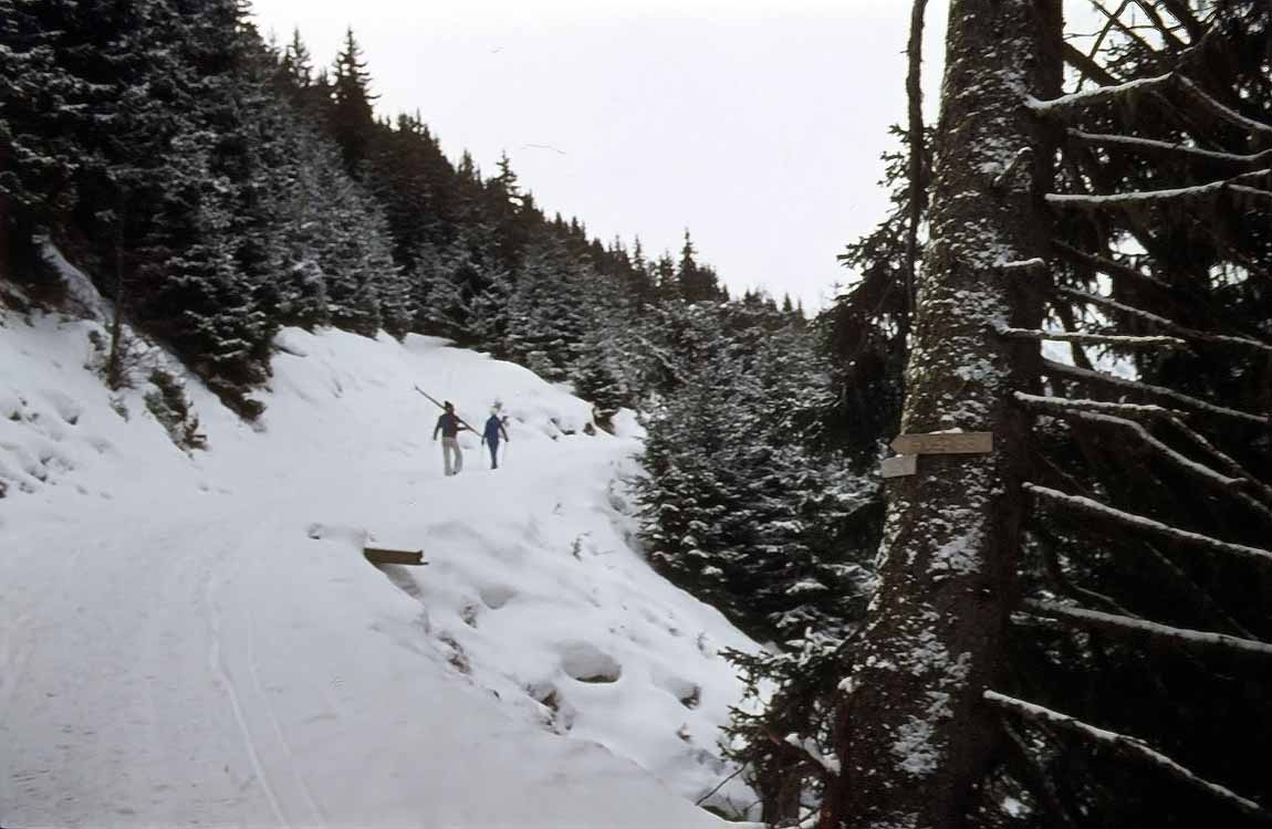 Weidener Hütte am 04.01.1976