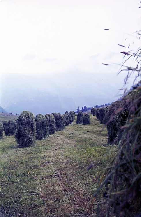 Neue Pforzheimer Hütte am 31.07.1976