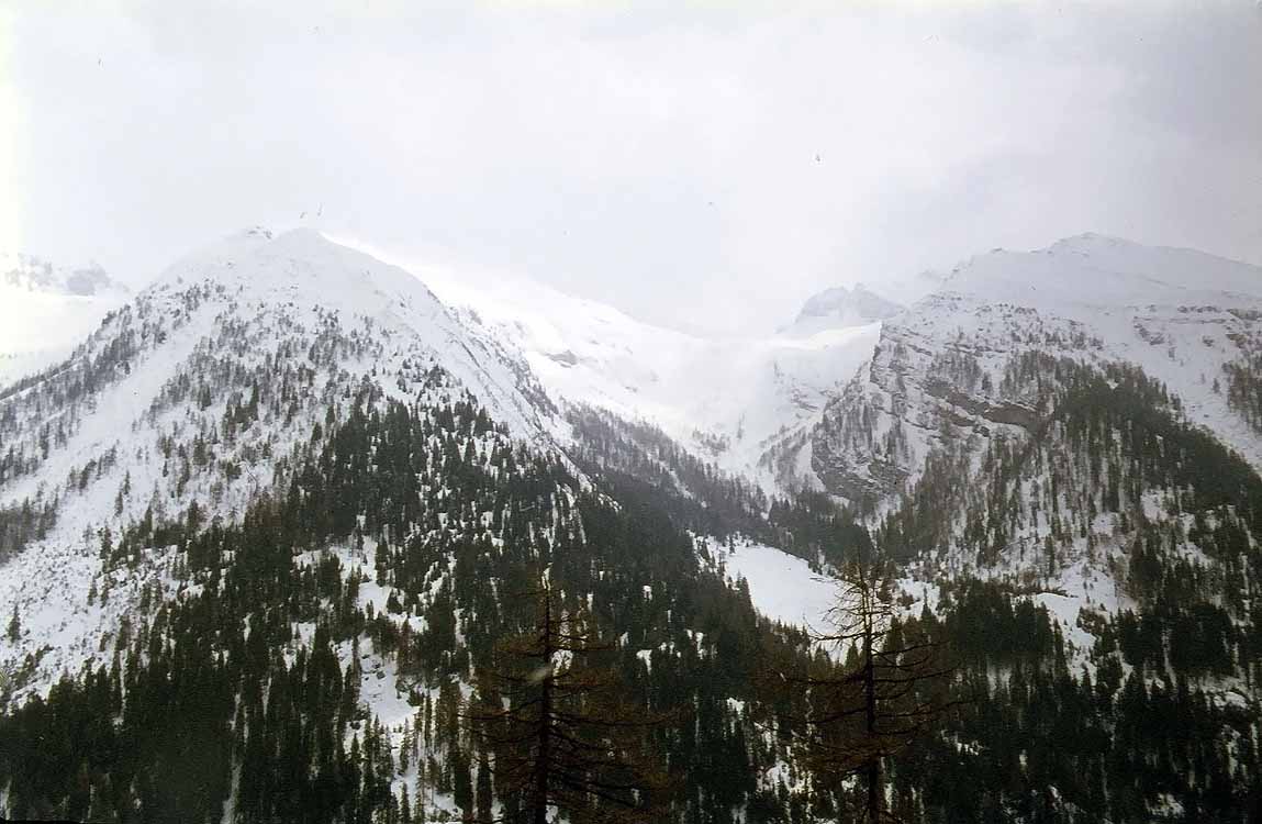 Steinalm am 03.04.1979