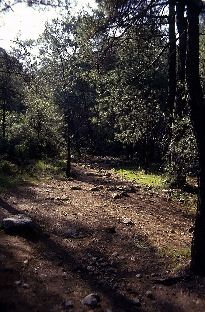 19.04.1993 | Aufstieg | antiker Weg zur Chimeira