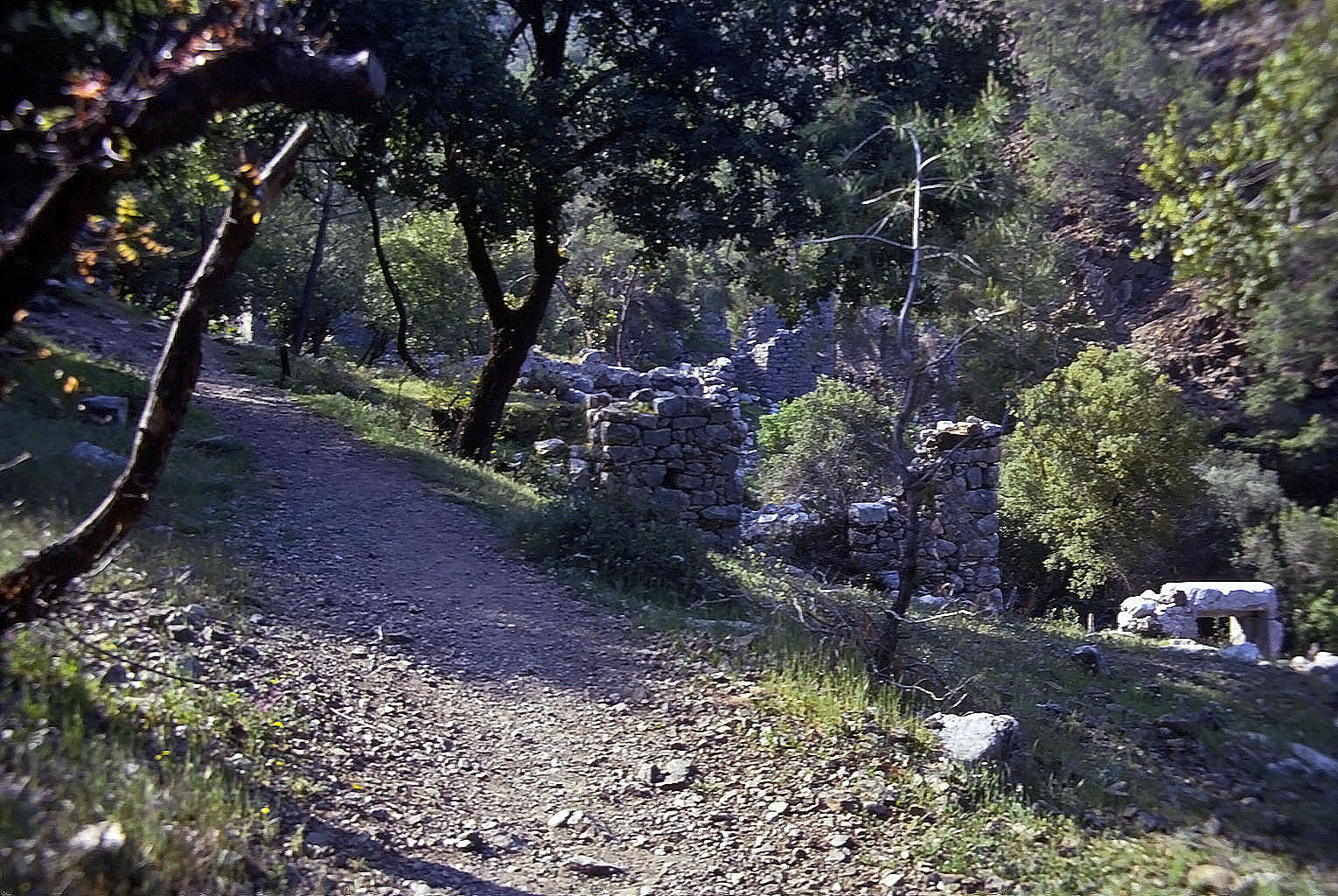 19.04.1993 | Aufstieg | antiker Weg mit byzantin. Kirchenruinen