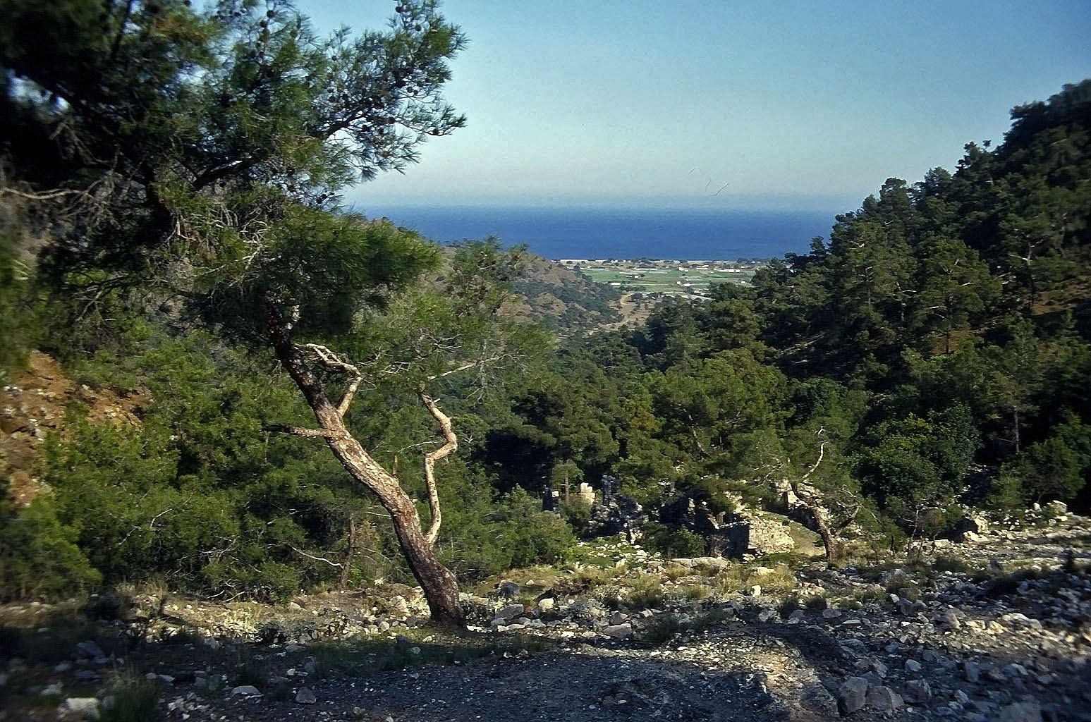 19.04.1993 | Flammen | Flammenfeld und byzantin. Kirche vor Cirali
