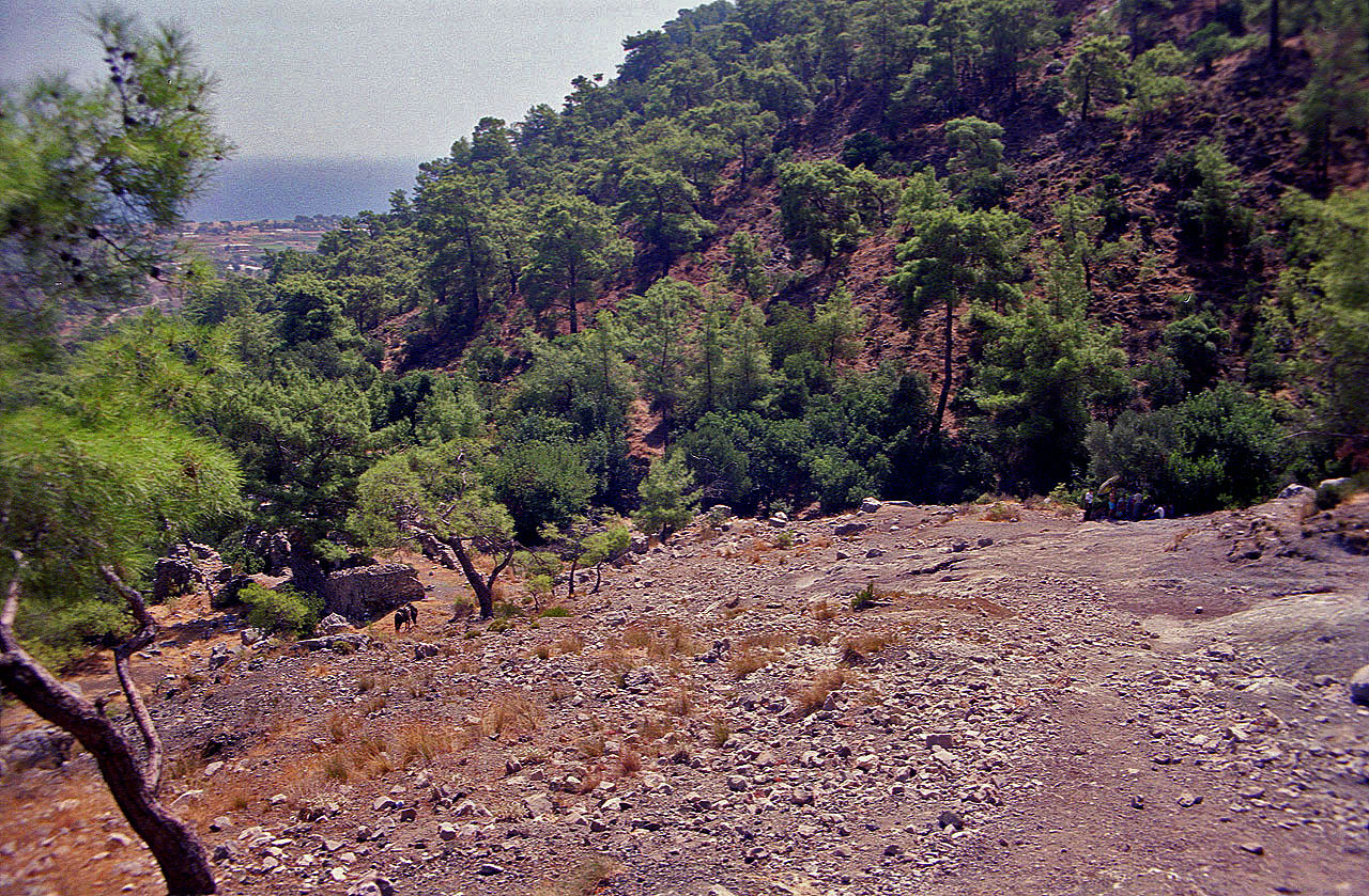 29.08.1995 | Flammen   | unteres Flammenfeld und byzantin. Kirchenruine