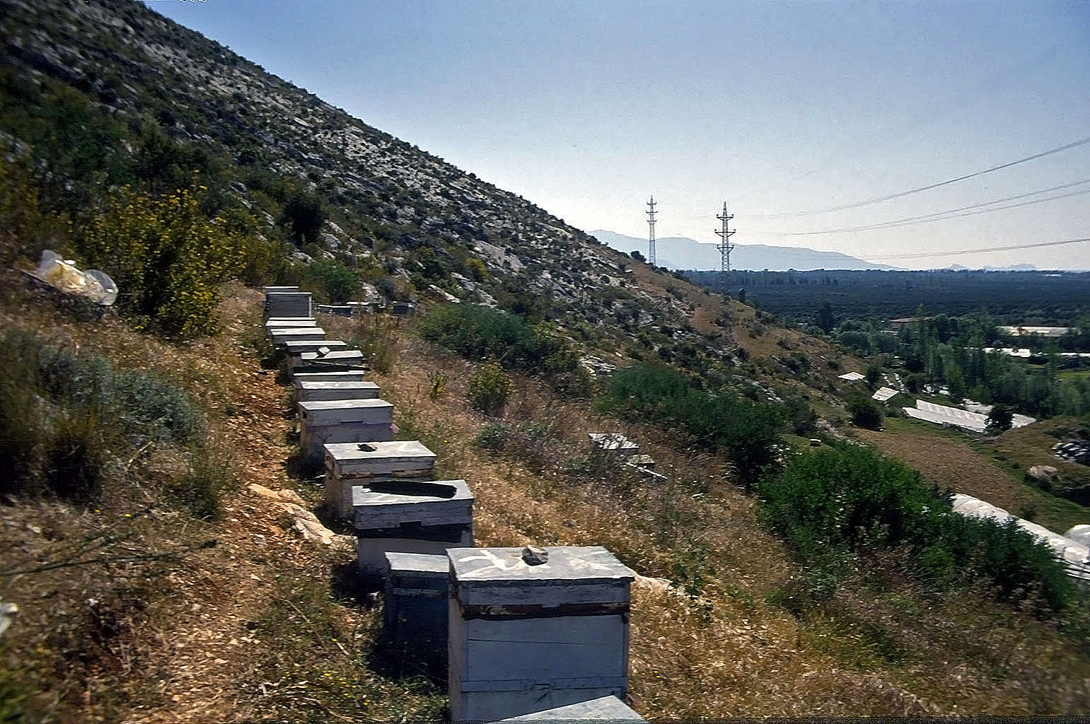 20.04.1993 | Hangsiedlung | Bienenstöcke am Hang