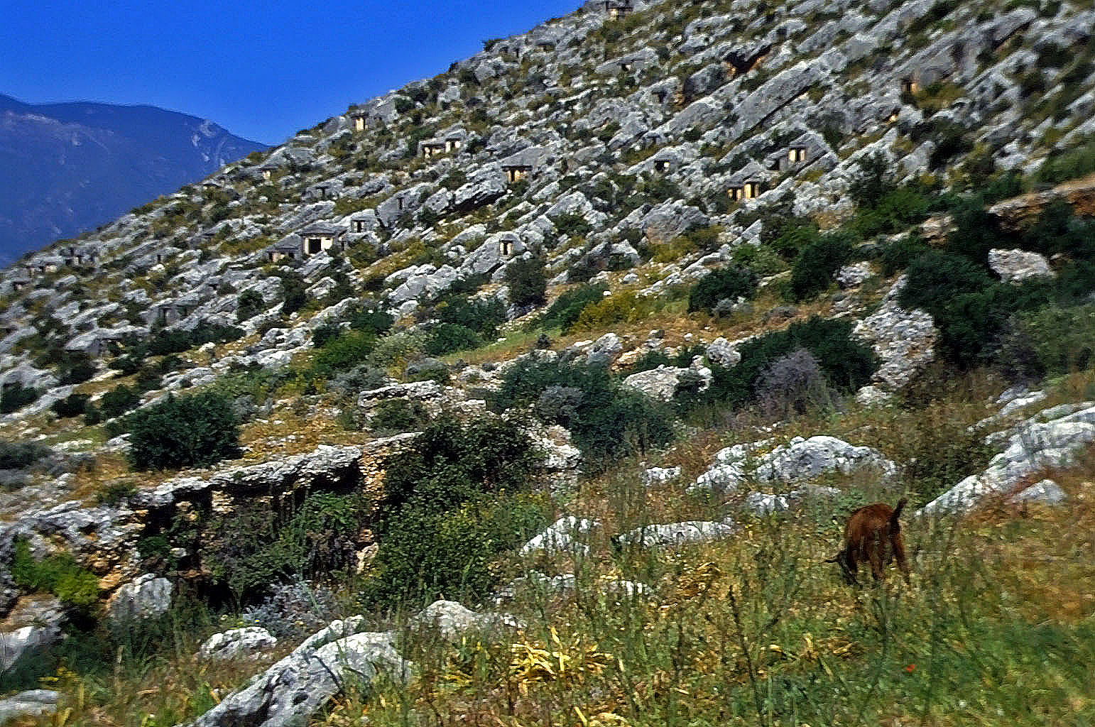 20.04.1993 | Nekropole II | Nekropole mit vielen Gräbern