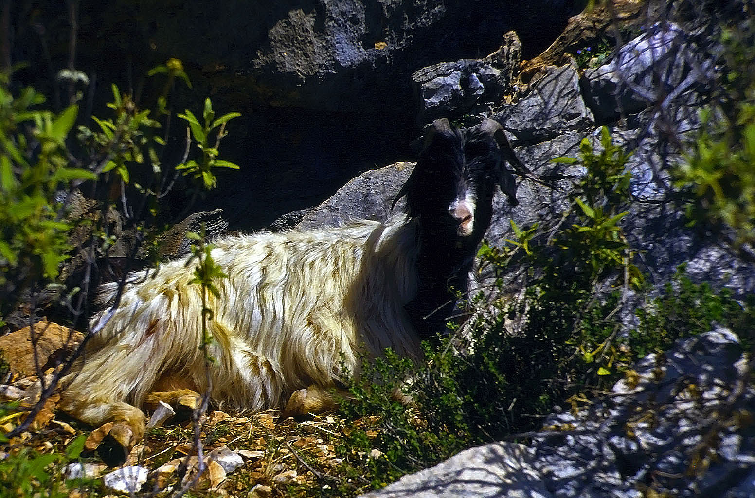 20.04.1993 | antiker Weg | Zuschauer beim Aufstieg zum Heroon