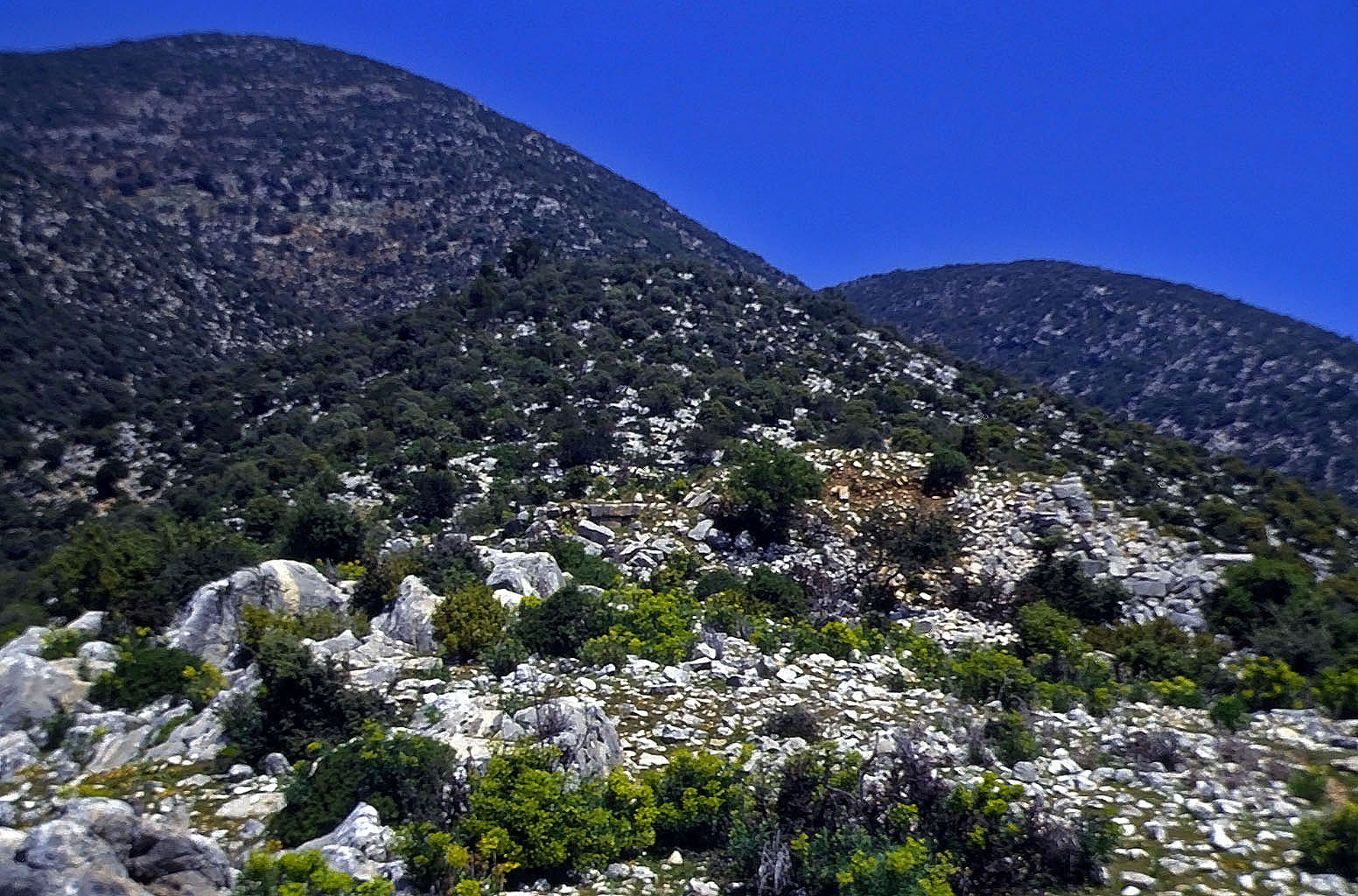 20.04.1993 | Oberburg | geringe Überreste auf der Hochfläche