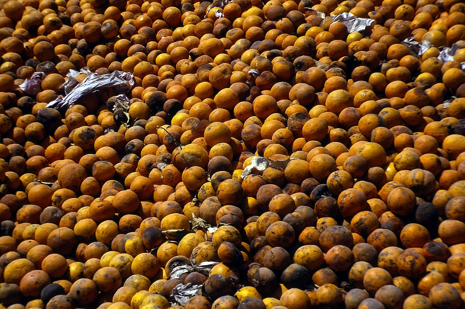 20.04.1993 | Limyra | Biomüll aus Orangen