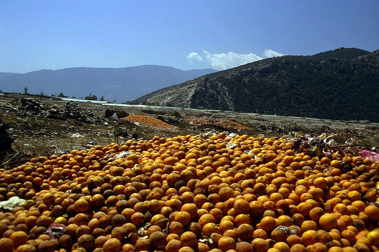 20.04.1993 | Limyra | Biomüll aus Orangen direkt am Strassenrand