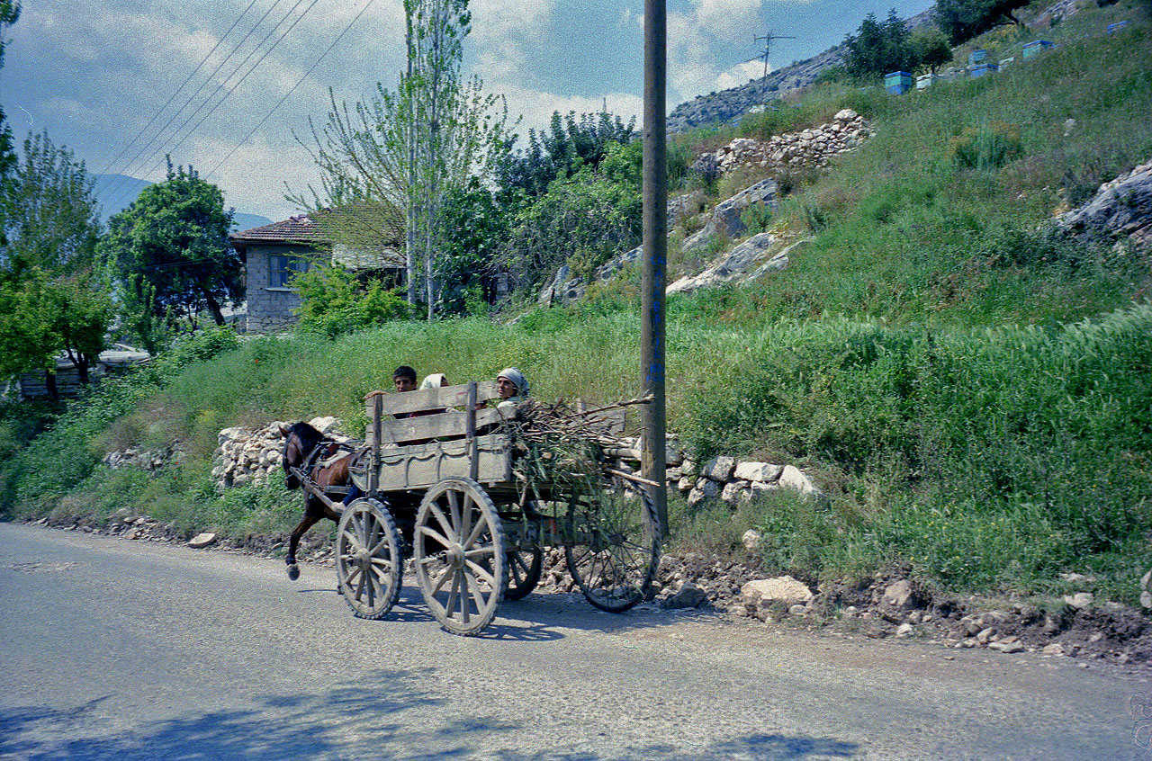 27.04.1995 | Limyra | Holztransporter beim Theater
