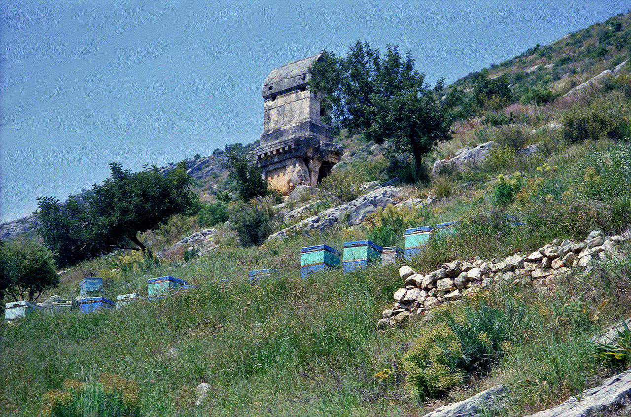 27.04.1995 | Limyra | Hyposorionsarkophag des Xntabura über Bienenstöcken