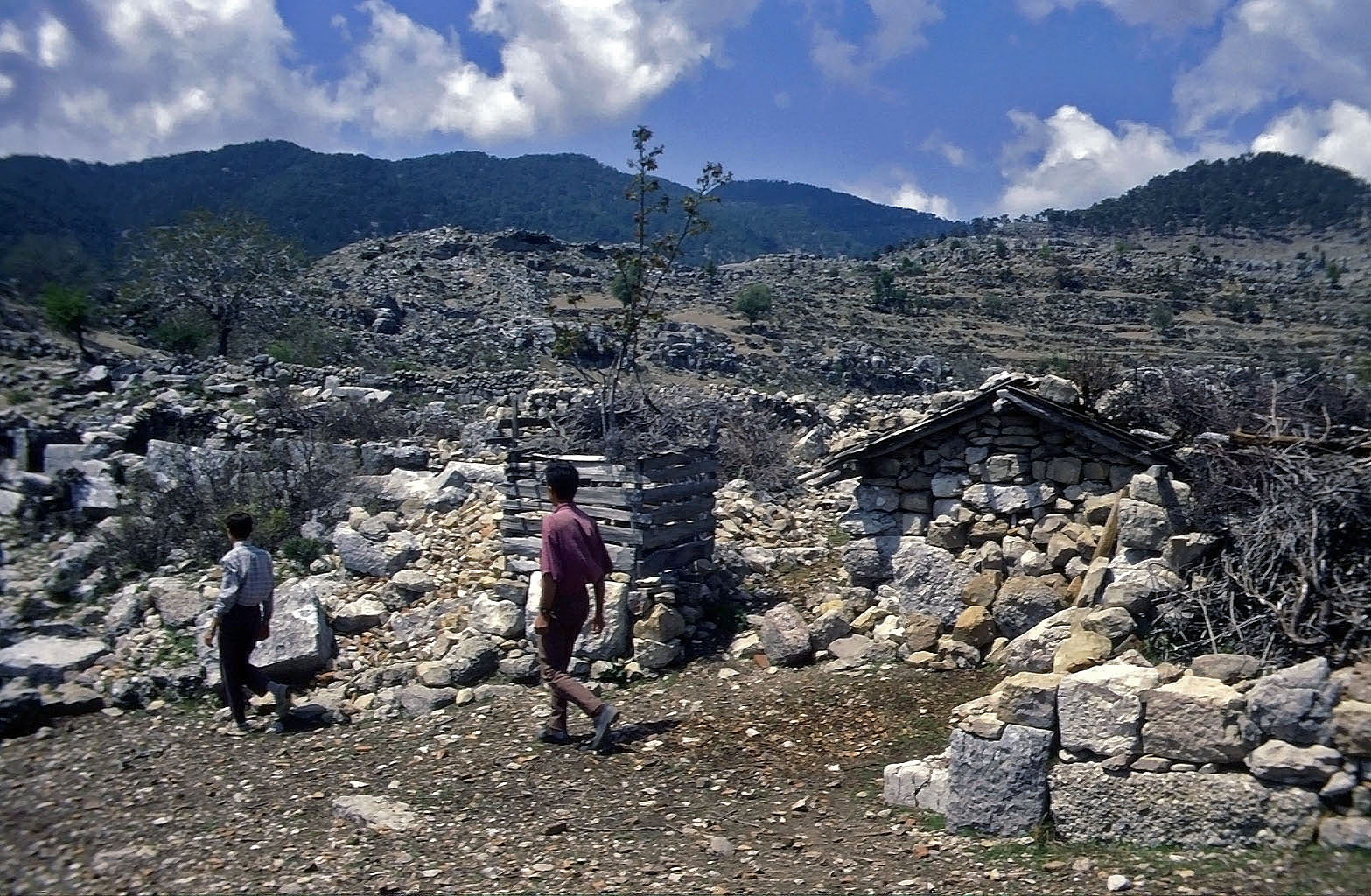 28.04.1993 | Basilika | Grundmauern und Hirtenunterstand vor Taurus