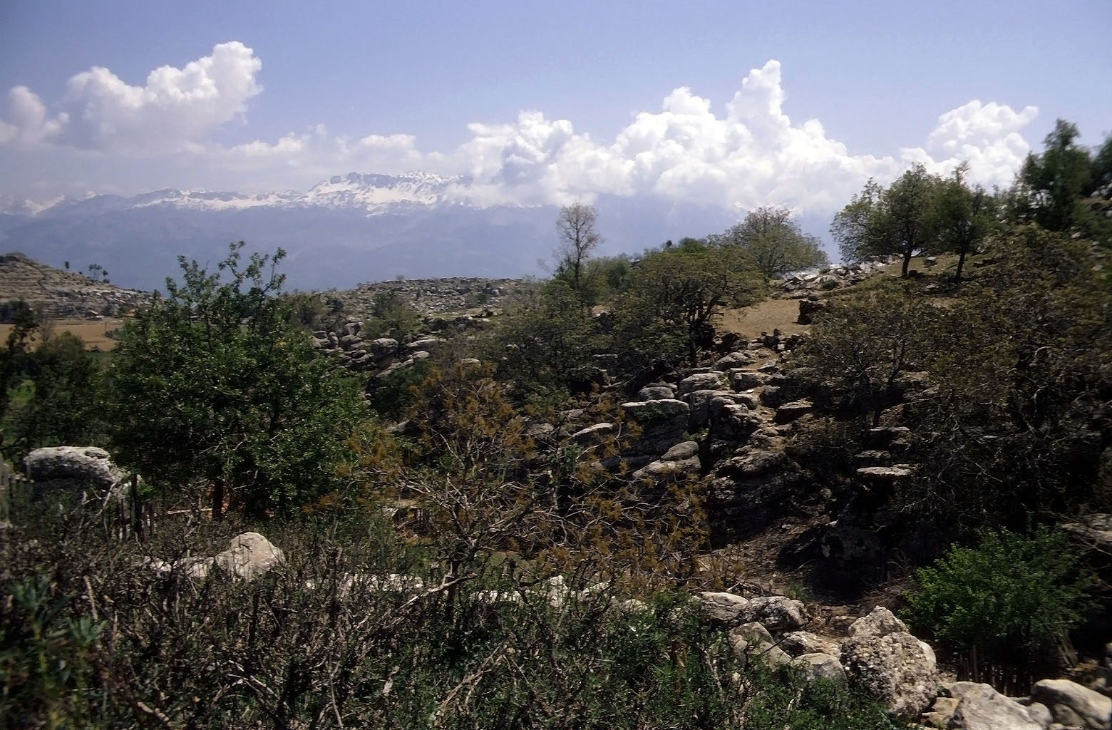 28.04.1993 | Stadtmauer | Stadtmauerwerk  vor Taurus Bergen