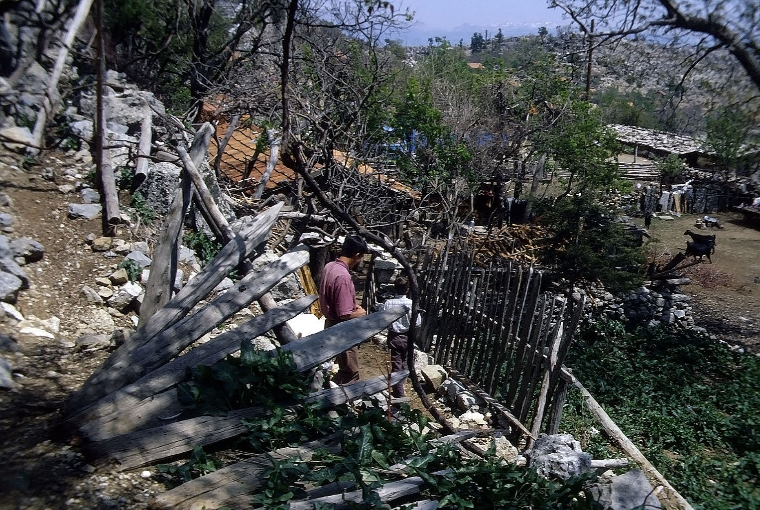 28.04.1993 | Stadtmauer | Abstiegsweg zu den Häusern beim Theater