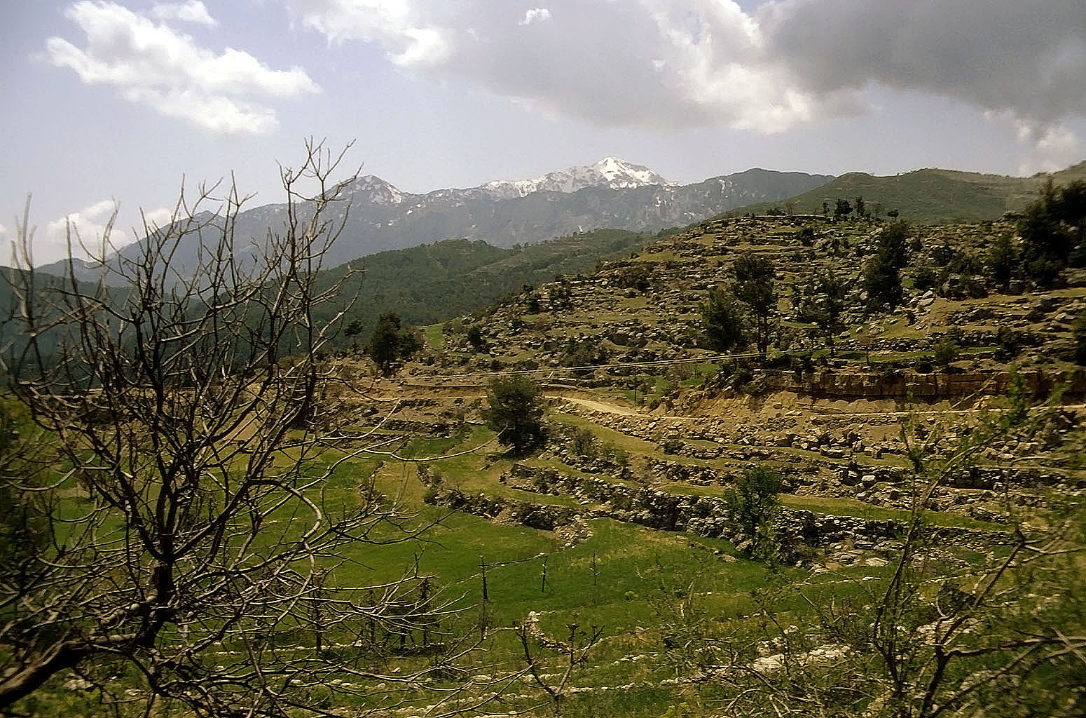 28.04.1993 | vor Selge  | Terrassenfelder vor dem Taurus