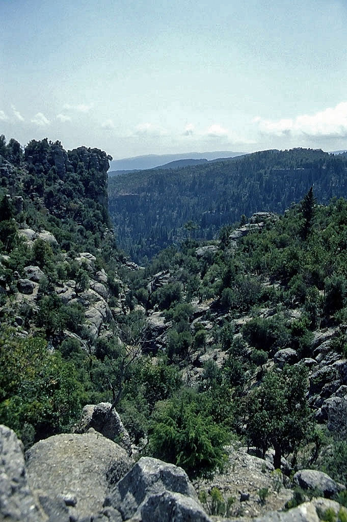 28.04.1993 | vor Selge  | schluchtartiges Gelände im Taurus