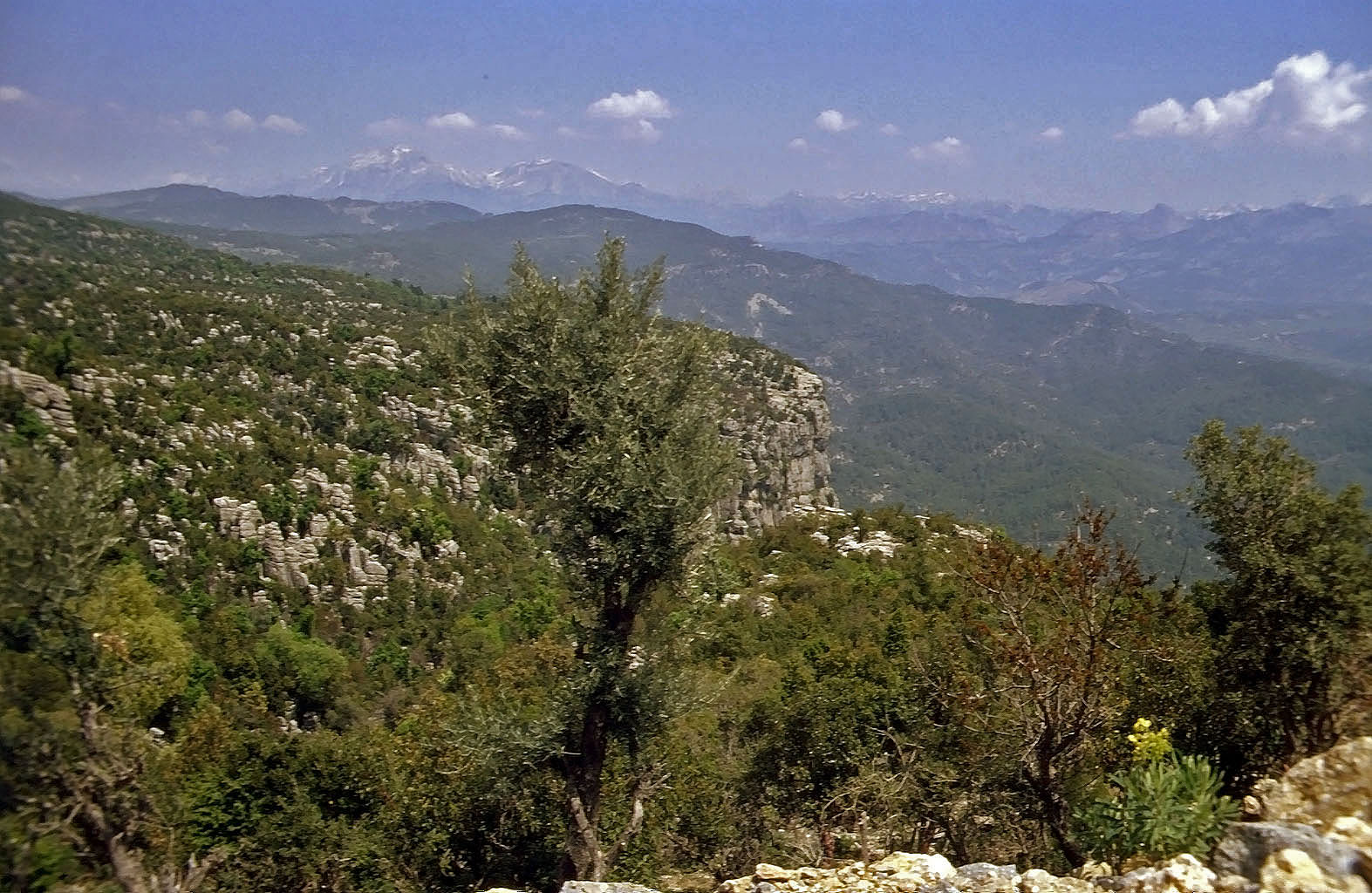 28.04.1993 | vor Selge  | typische Berglandschaft des Nationalparks