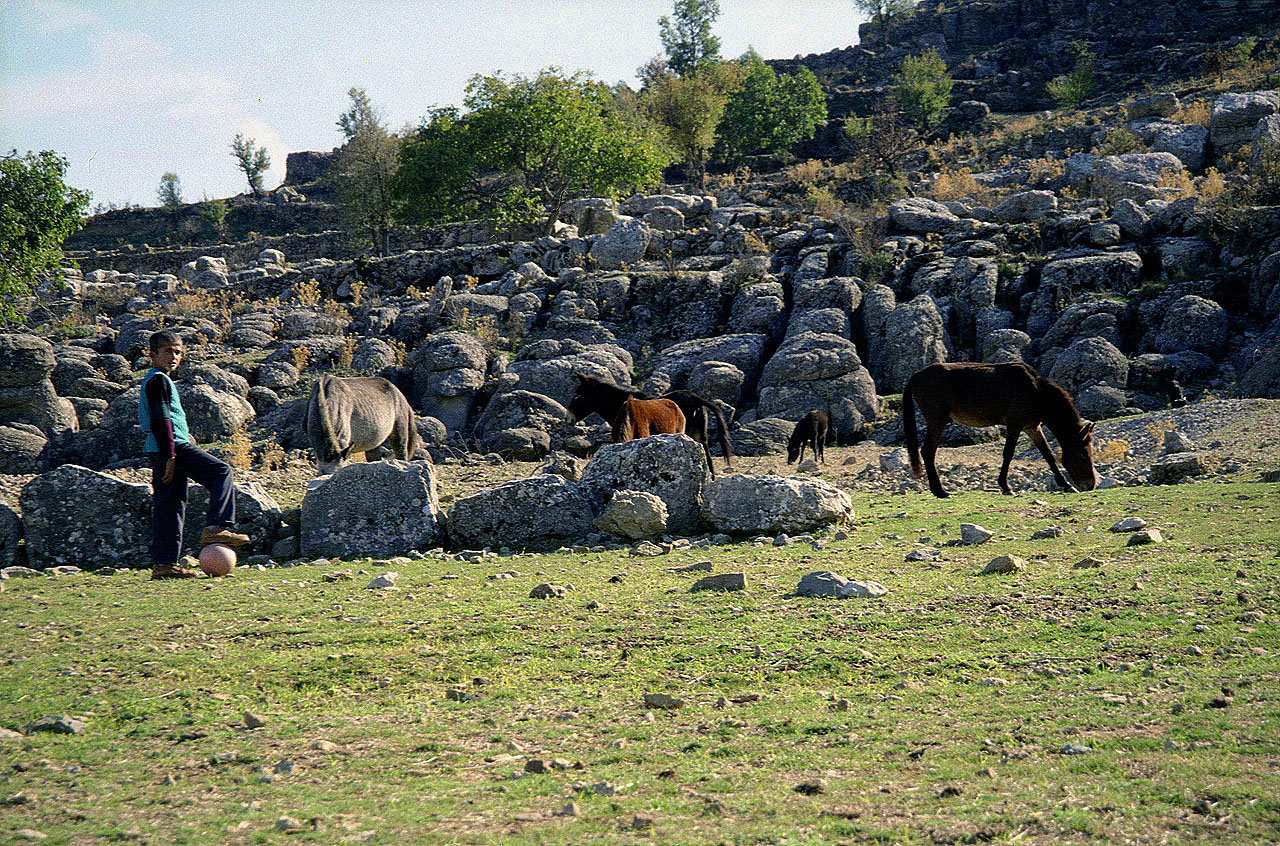 08.11.1994 | Selge | Pferdezucht zwischen den Felsen