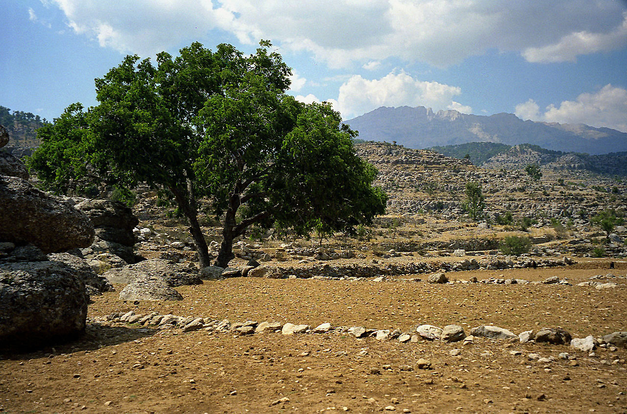 25.08.1995 | Selge | karge Terrassenfelder vor den Taurus Bergen